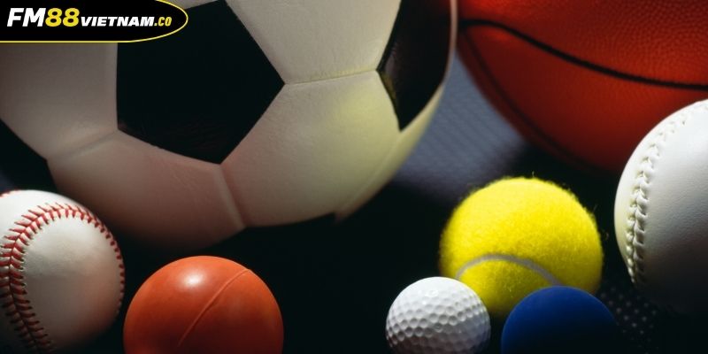 Cá cược thể thao vua đa giải đấu cuốn hút