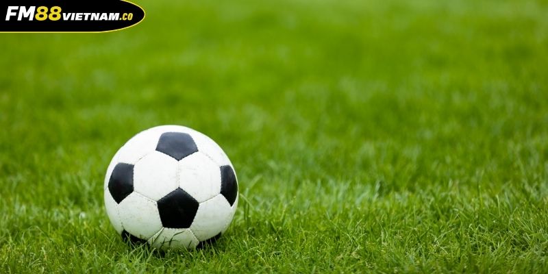 Một số kinh nghiệm bắt kèo rung cực chuẩn xác