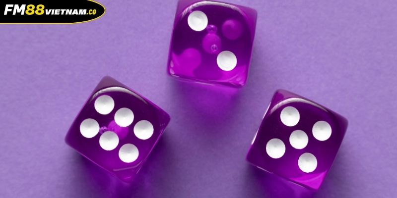 Xóc Đĩa FM88 Tổng Hợp Kinh Nghiệm Chinh Phục Game Nhanh 3 Thao tác đặt cược xóc đĩa tại FM88 cơ bản nhanh chóng