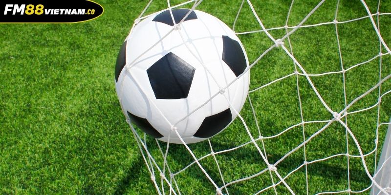 Tìm hiểu chung về kèo tài xỉu FM88