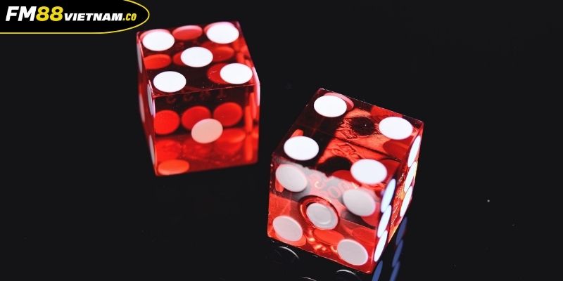 Tìm hiểu tổng quan về thế giới Tài Xỉu FM88