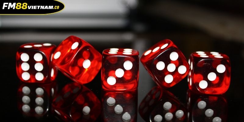 Xóc Đĩa FM88 Tổng Hợp Kinh Nghiệm Chinh Phục Game Nhanh 4 Vận dụng quy luật Fibonacci để cá cược xóc đĩa FM88